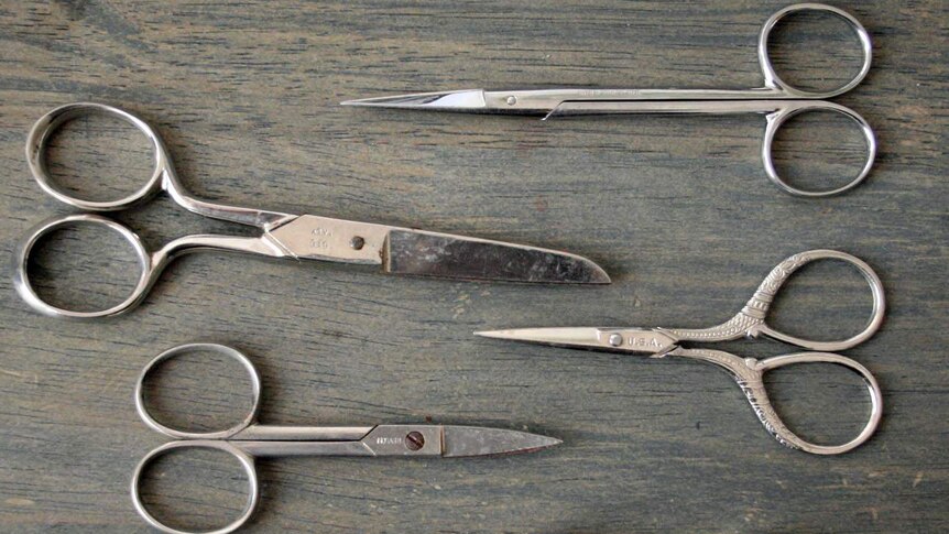 Different types of scissors on a bench top