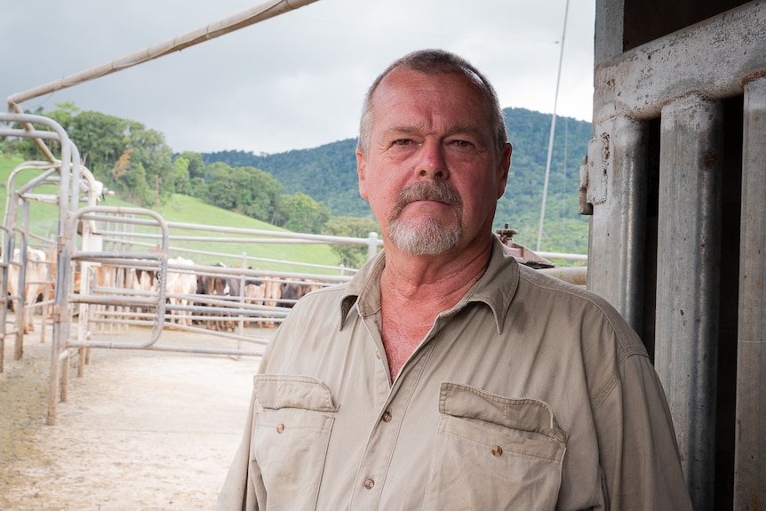 Dairy farmer standing in front of milking yards