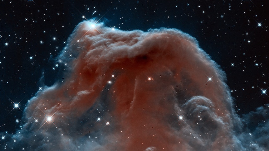 An image taken by the Hubble telescope of a horsehead nebula in space.
