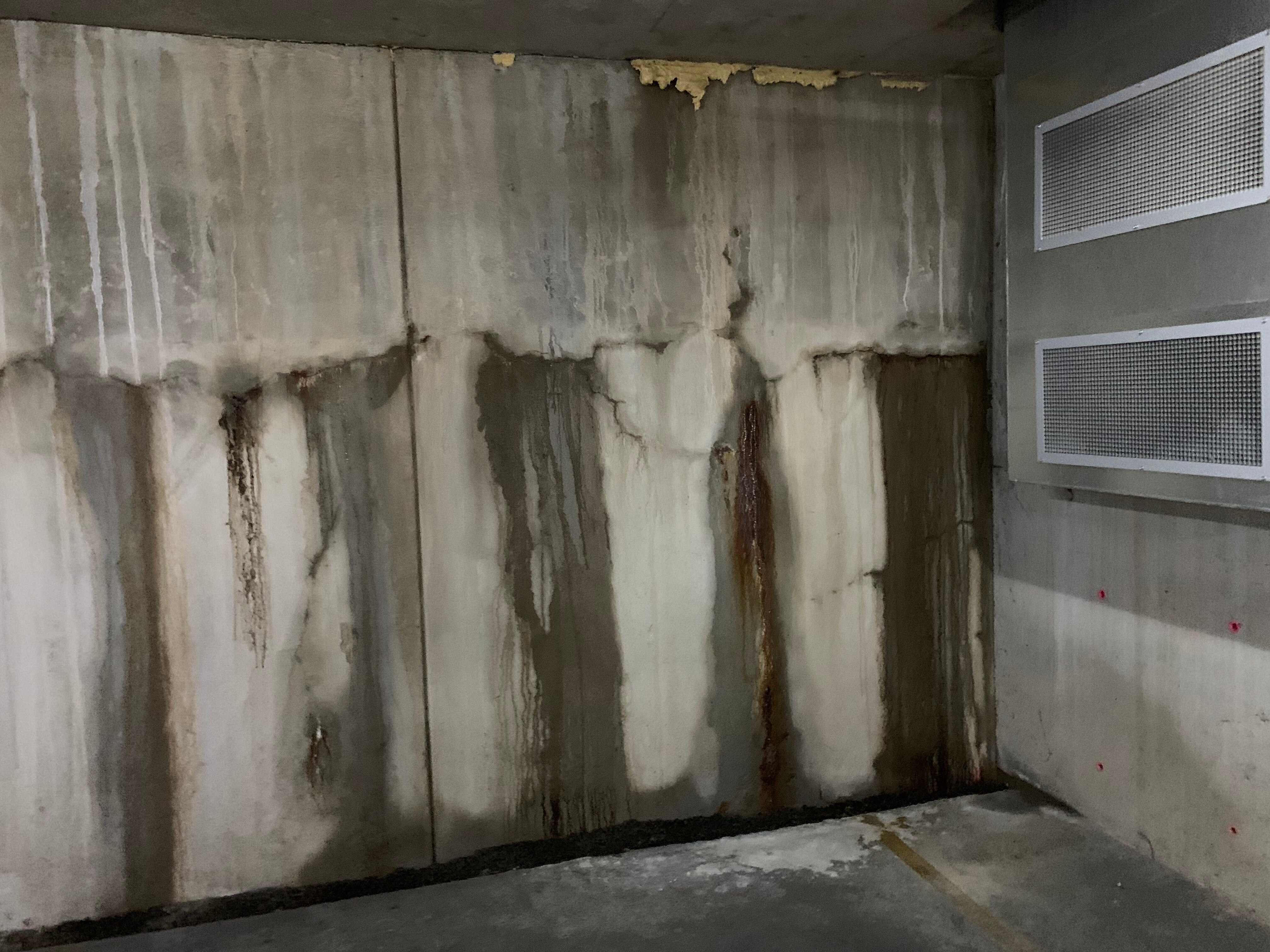 Water leaking through a concrete wall in an apartment. 