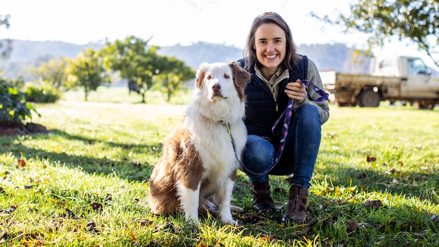 A border collie dog and a woman 