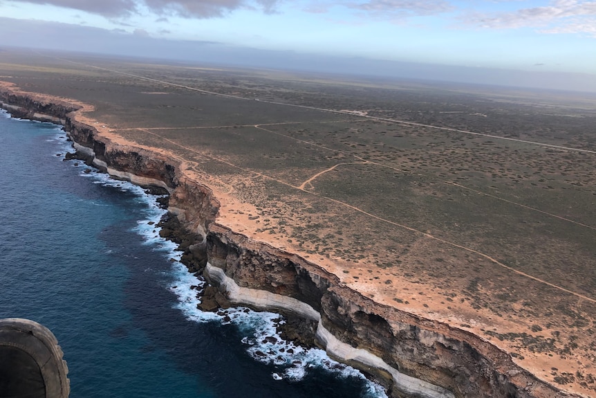 An aerial shot of steep, sheer cliffs dropping from flat dry paddocks into the ocean.