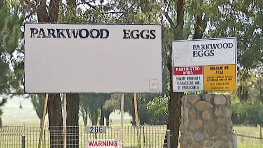 Parkwood Eggs