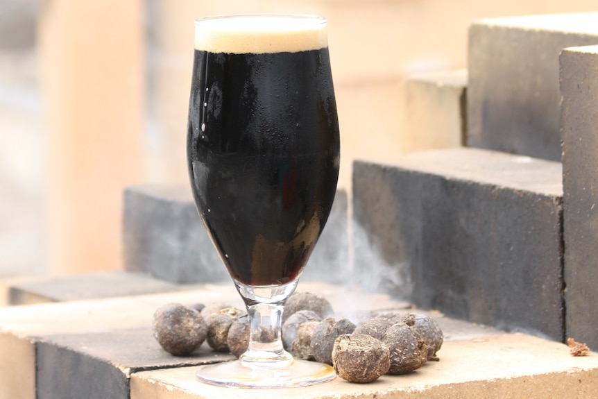 A dark beer in a glass surrounded by smoking camel dung.