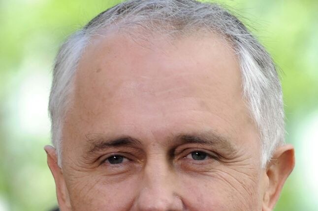 Mr Turnbull's rise through the parliamentary ranks was swift.