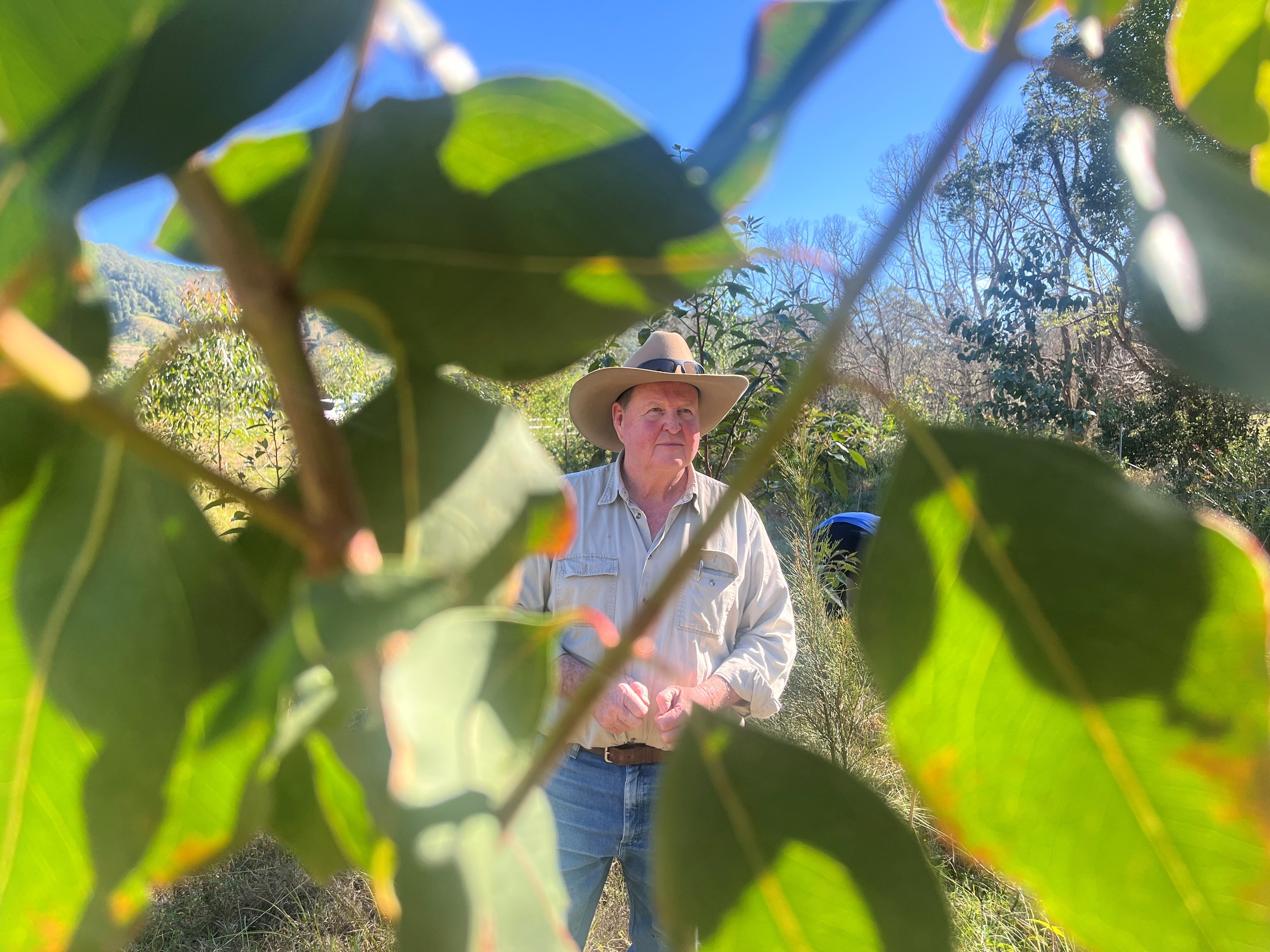 Cattle farmer plants 14,000 trees to help slow flow of flood water