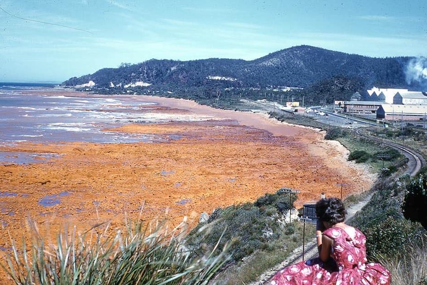 A woman looks over the polluted, red-stained coast in front of Tioxide factory