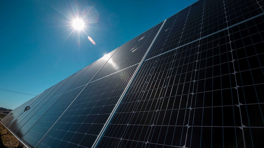 The sun shining on solar panels at the Warwick solar farm.