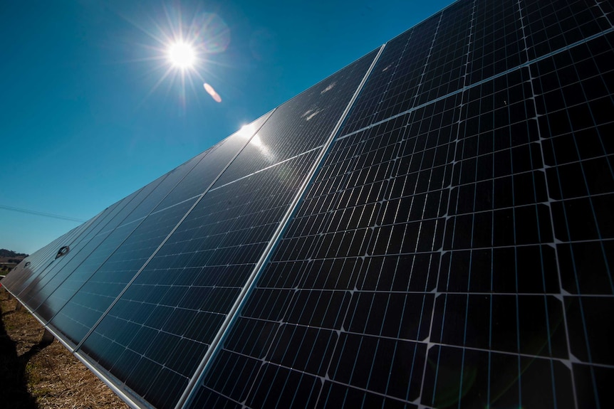 The sun shining on solar panels at the Warwick solar farm.