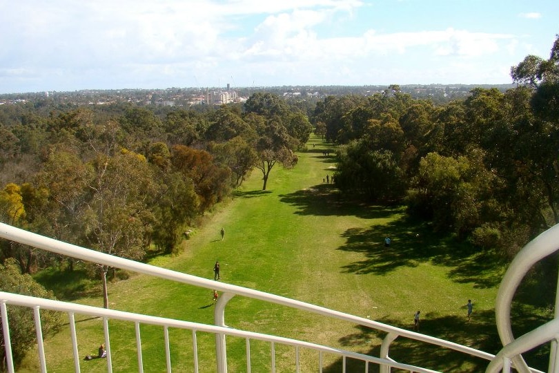 A view from up high looking down on parkland. White railing in the foreground.