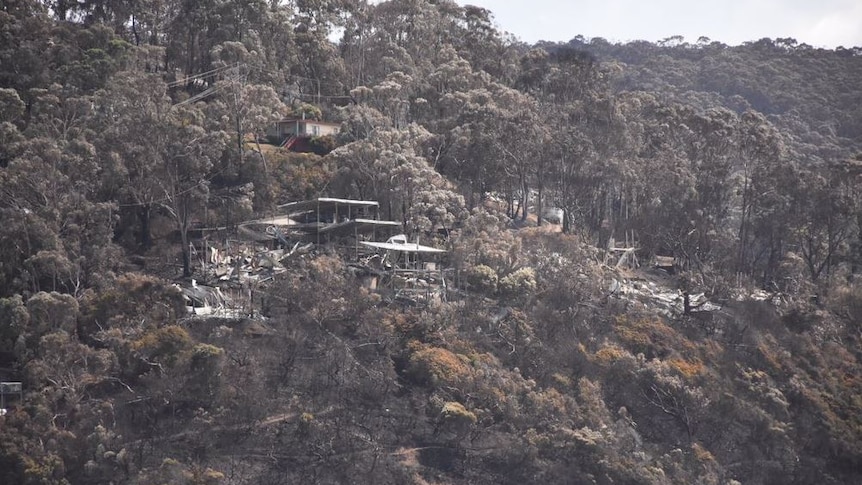 Homes destroyed by a bushfire at Wye River