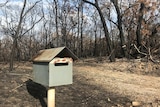 A letterbox still stands among the charred bushland at Deepwater.