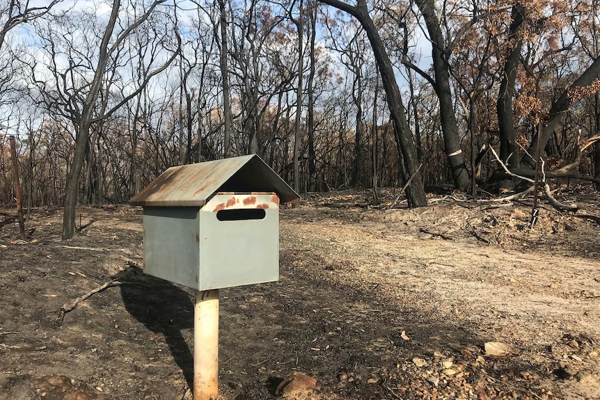 A letterbox still stands among the charred bushland at Deepwater.