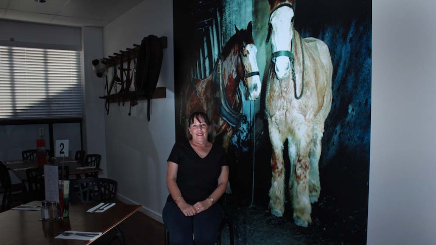 Lady sitting in front of painting with pit ponies
