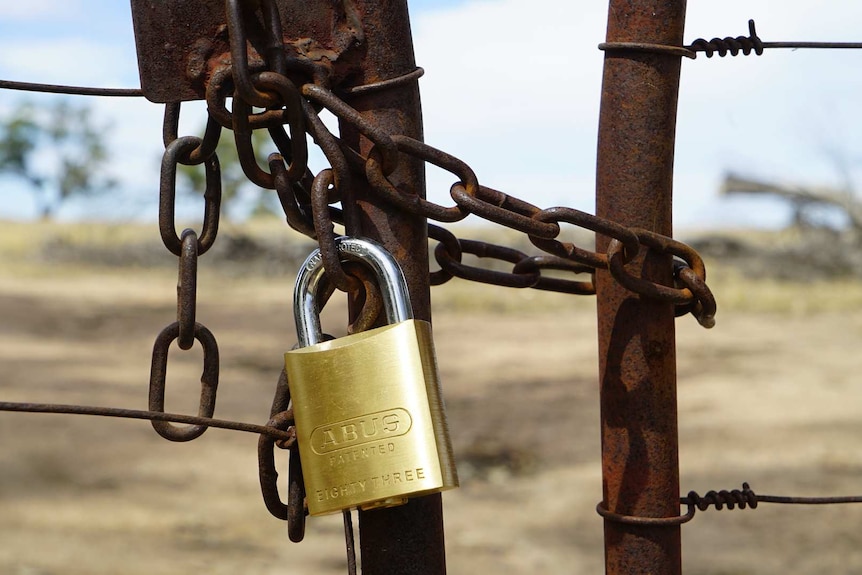 A shiny new padlock hangs from a rusty old chain looped around a gate.