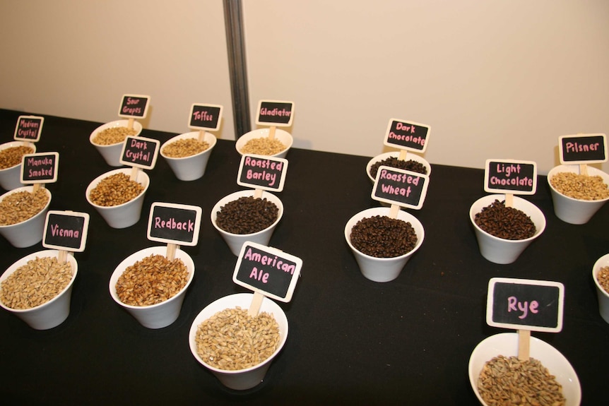 Small white bowls filled with different coloured grains.