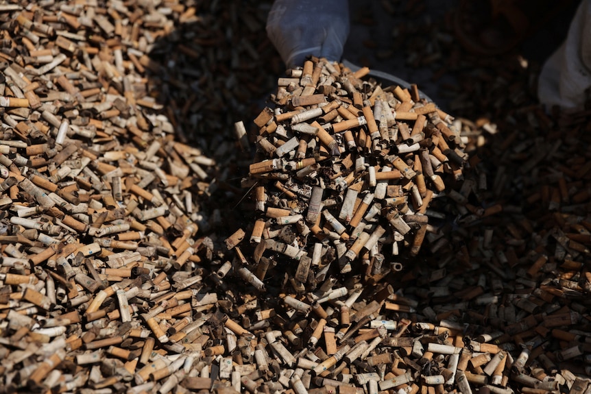 Cigarette butts scooped up into someone's hands. 