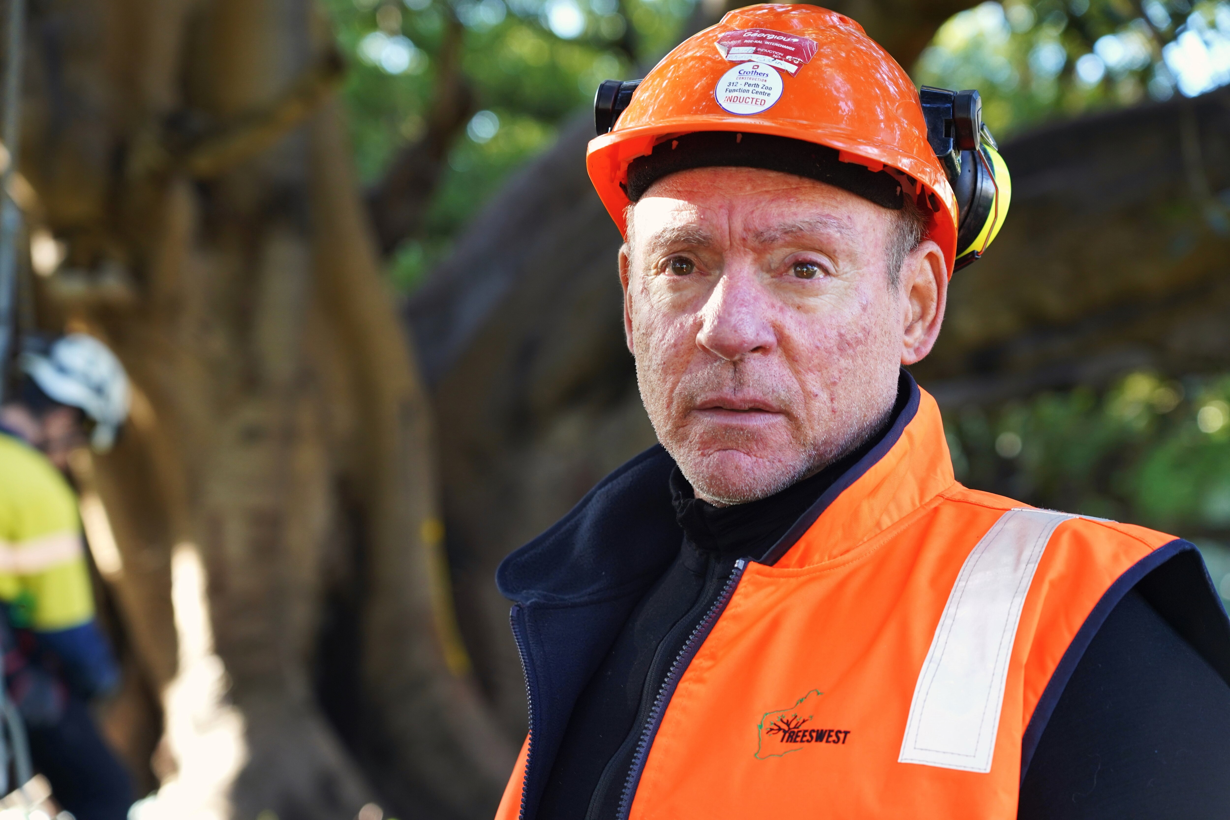 Perth Arborist Dave Crispin in Perth's Hyde Park