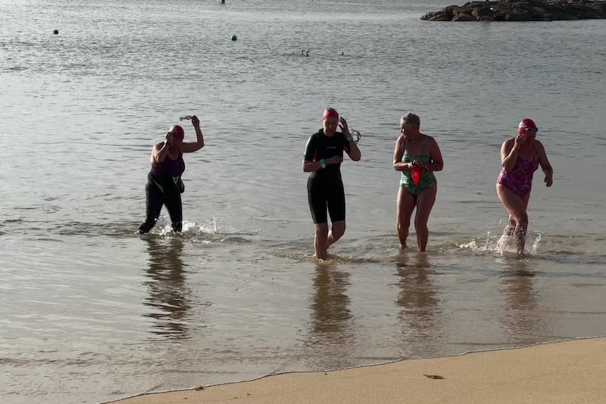 Five people wearing bathers walk out of the sea in the early morning