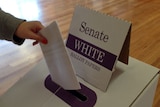 A Senate ballot