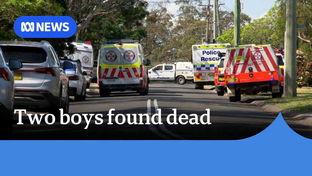 Mother arrested after two children found dead in Blue Mountains - ABC News