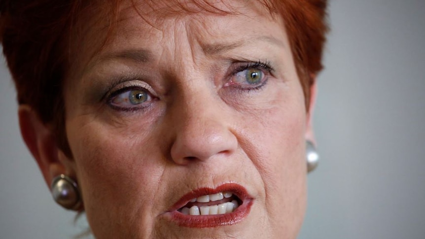 Close-up of Pauline Hanson's face