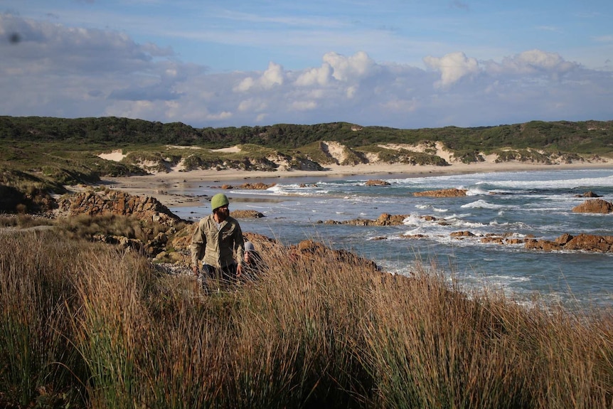 Traditional Aboriginal huts used to be dotted above the beach at Nungu/West Point on Tasmania's west coast.