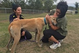 Kate Bartels shows off greyhound Sarah to visitor Zoe Biles