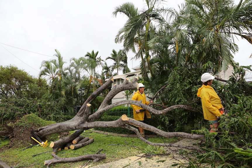 Damage from Cyclone Marcia in Rockhampton