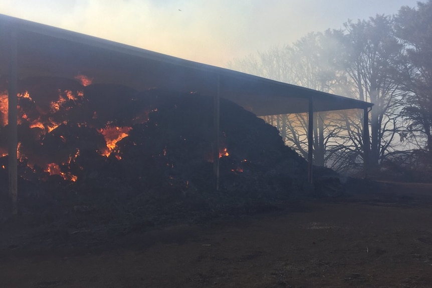 A fire in a shed at Gazette in Victoria's south-west.