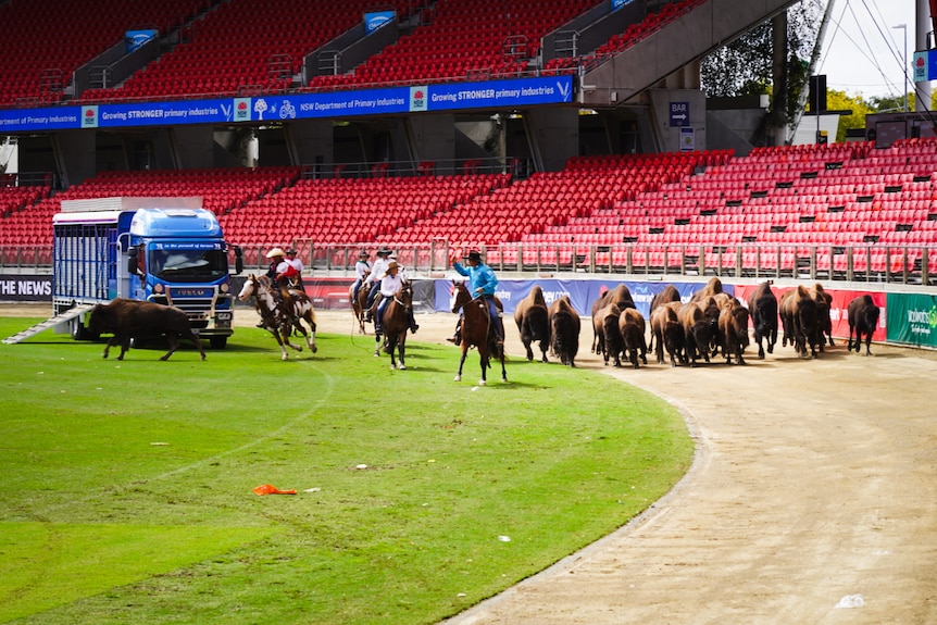 The Sydney Royal Easter Show 2024