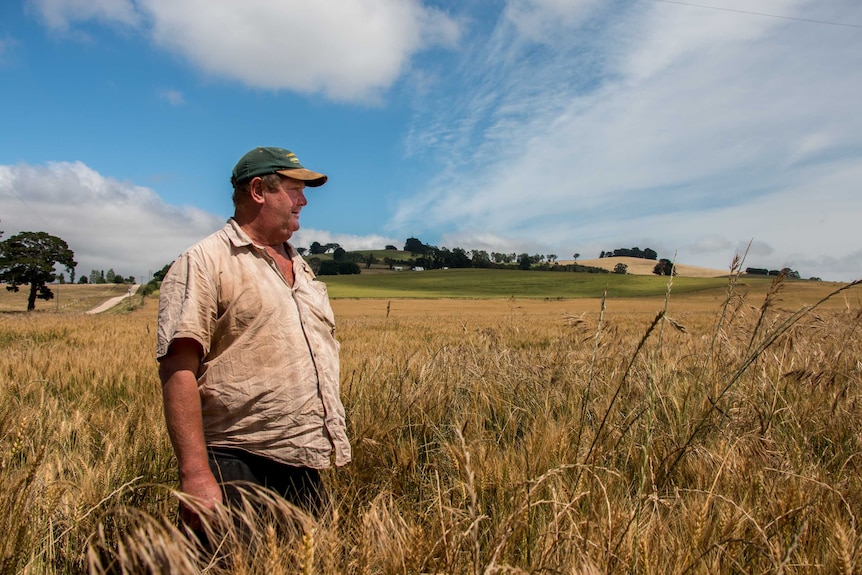 Farmer Syd Maher stands in the paddock where he grew poppies.