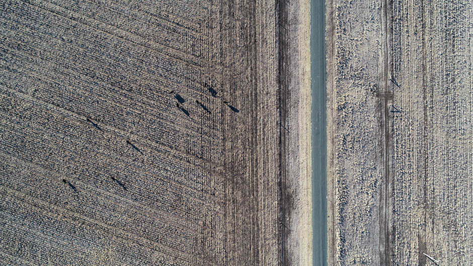Aerial of dry land on Liverpool Plains