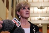 Foreign Affairs Minister Julie Bishop speaks to reporters in Canberra on November 12, 2015.