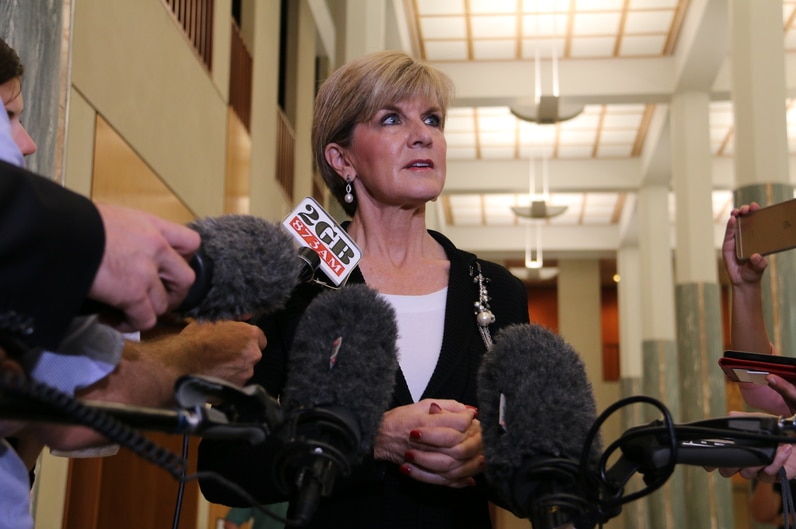 Foreign Affairs Minister Julie Bishop speaks to reporters in Canberra on November 12, 2015.