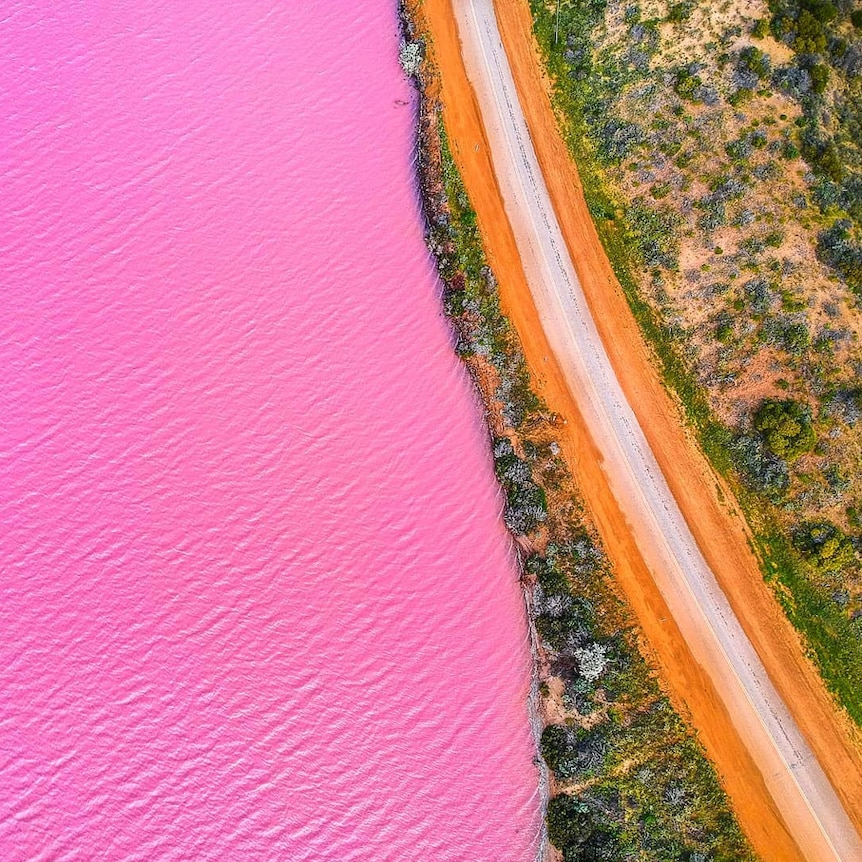 A pink lake with an orange dirt road beside it, photographed from above.