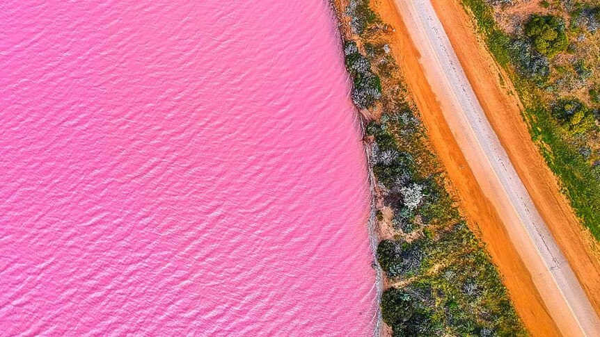 A pink lake with an orange dirt road beside it, photographed from above.