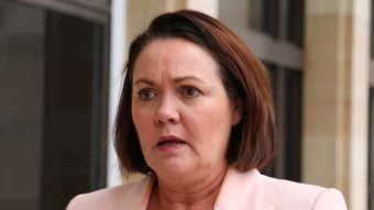 WA Opposition Leader Liza Harvey looking concerned