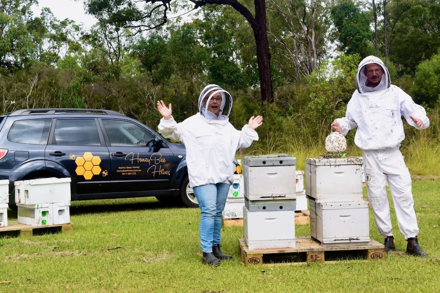 A man and woman in white bee suits hold a feeding tub over four boxes of bee hives