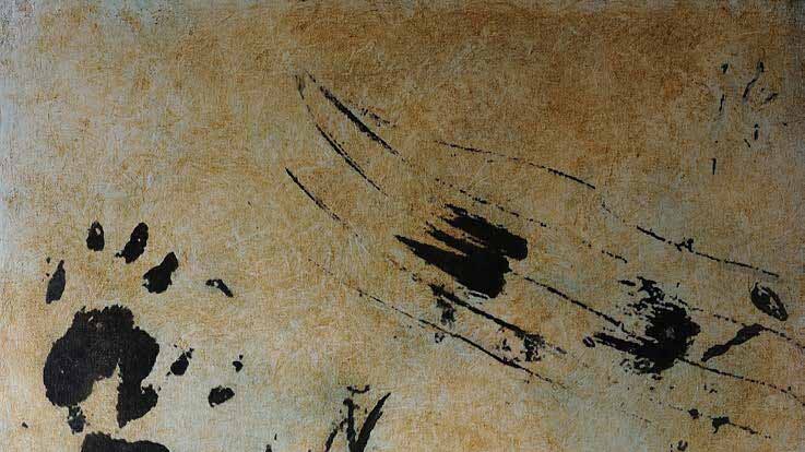The collection also includes paintings of devil markings.