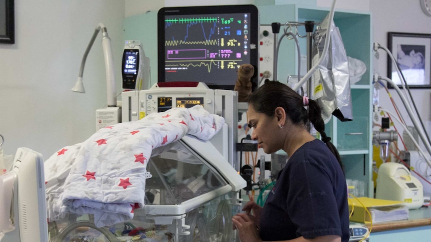 Nurse Nilima Gaunker looks over a baby in an incubator