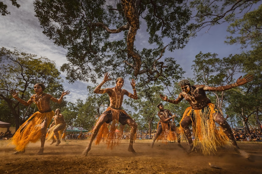 Several indigenous dancers, dancing in front of a large tree