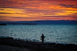 A person walks along the shoreline at sunset.