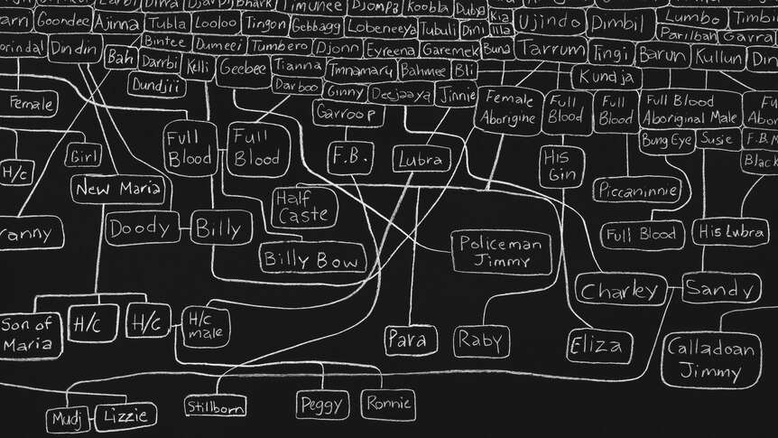 An extensive family tree drawn in white chalk on a black wall. Some names include "Billy", "Policeman Jimmy", "Half caste"