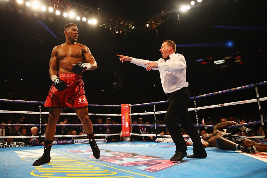 A referee points at Anthony Joshua as Dillian Whyte lies on the ropes behind them