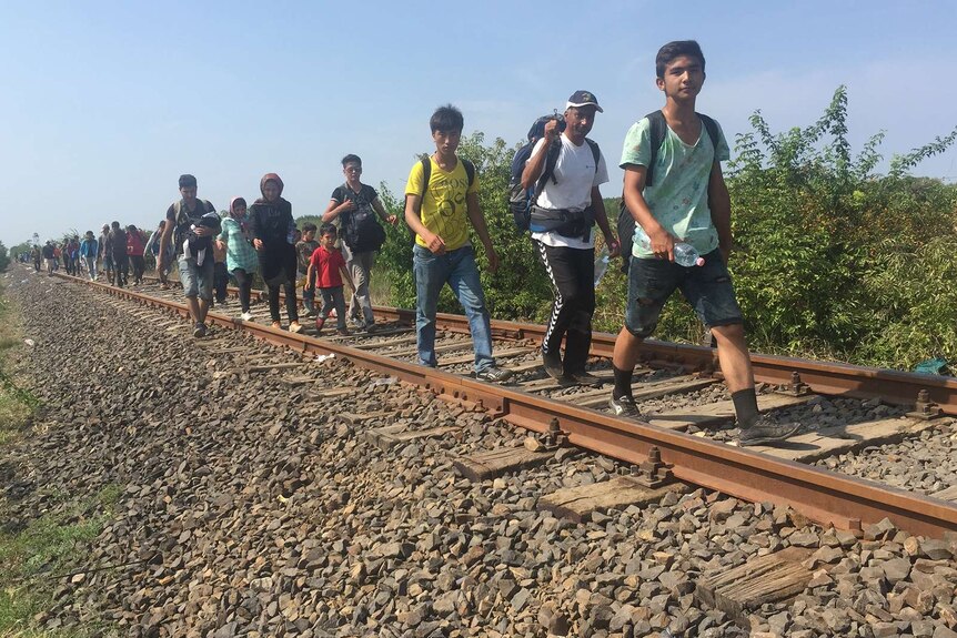 Syrian Refugees walk along train tracks in Hungary