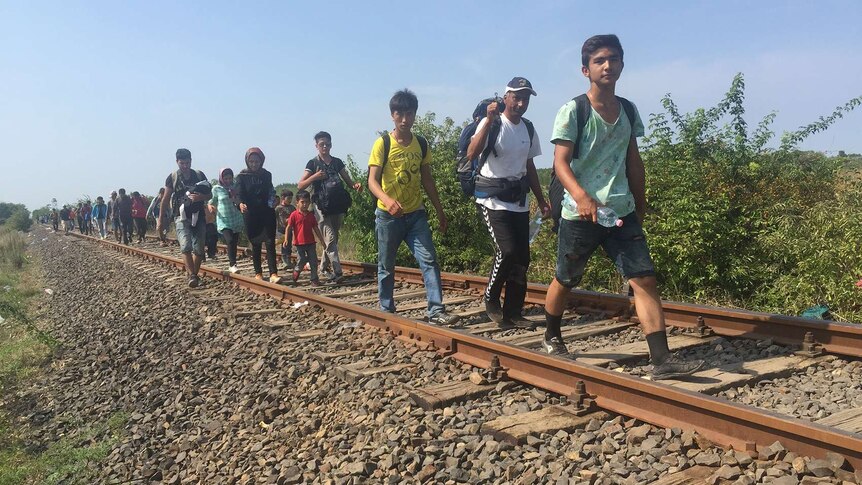 Syrian Refugees walk along train tracks in Hungary