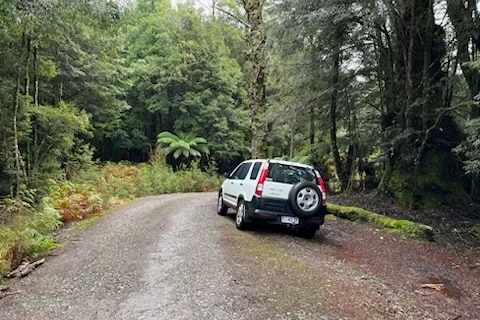 A white four wheel drive parked on a gravel road surrounded by rainforest.