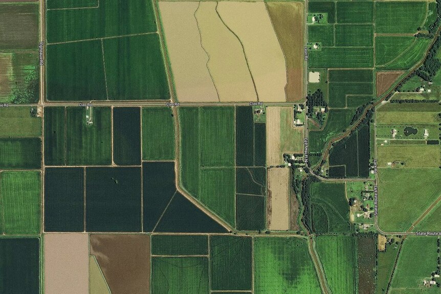 Satellite imagery shows an agricultural area near Abbeville, Louisiana.