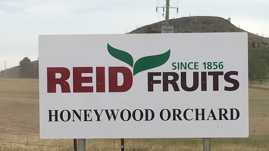 Honeywood Orchard Sign